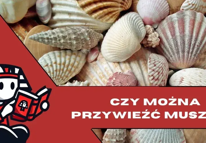Jak przewieźć muszle z Egiptu, aby nie narazić się na kary?